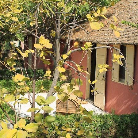 Lampsar Lodge Ndiongo ภายนอก รูปภาพ